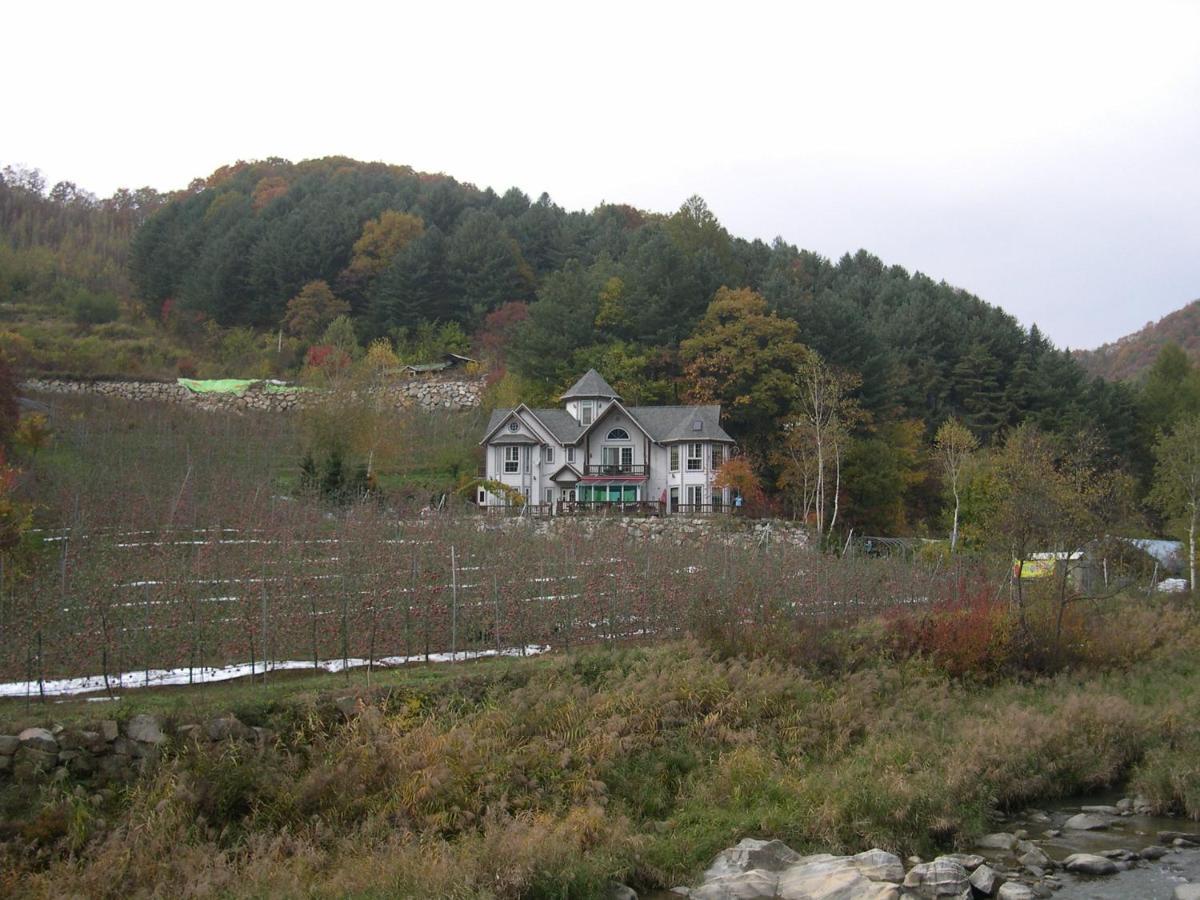 Happy Dream Pension Pyeongchang Buitenkant foto