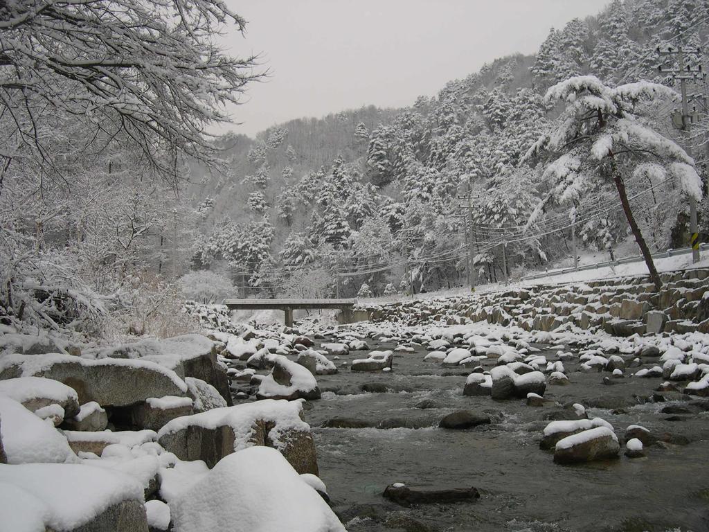 Happy Dream Pension Pyeongchang Buitenkant foto